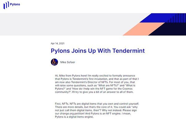 NFT 65 | Pylons Blockchain