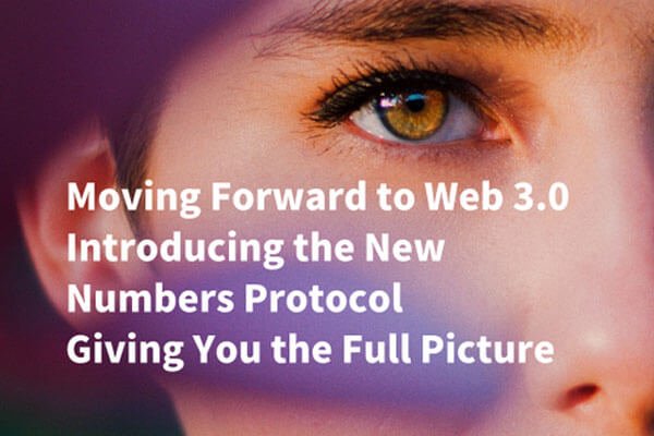 NFT Tammy | Decentralized Photo Network