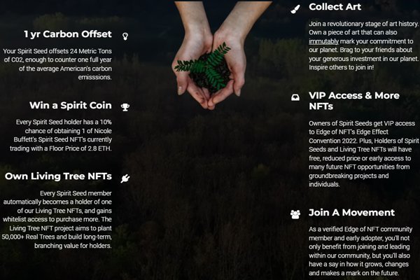 NFT 85 | 100th Episode