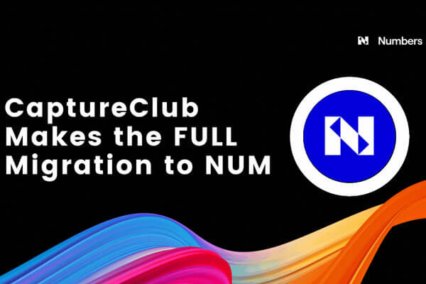 NFT Tammy | Decentralized Photo Network