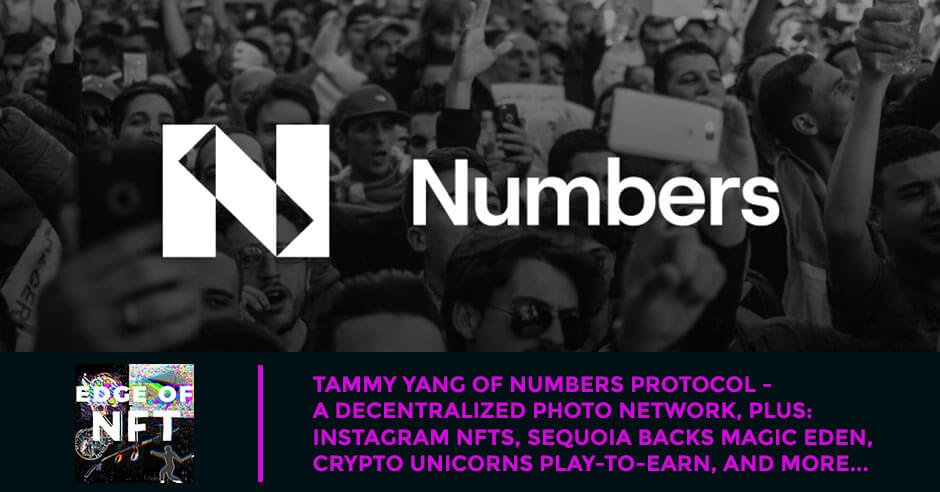 NFT Tammy | Decentralized Photo Network