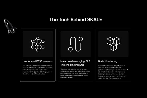 NFT Jack O’Holleran | Blockchain Network