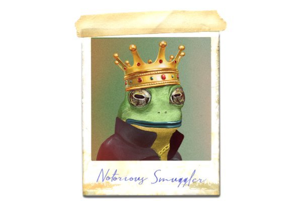NFT 37 | Frogland